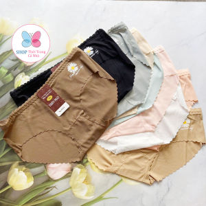 Quần lót nữ thun lạnh gân in hoa cỡ 45kg đến 55kg QL5310 QL5311