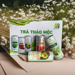 Trà Thảo Mộc Linh Chi-Cà Gai Leo-Đậu Săng-The Moshav Farm
