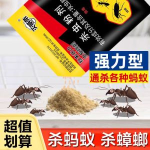 roach and Ant Bait Wholesale for Home Use Indoor Ant for Yellow Ants Red Ants Black Ants Non-Toxic Replacement