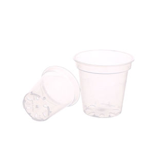 [Annabels] กระถางปลูกต้นไม้ทรงกลมใสภาชนะปลูกต้นไม้กระถางเพาะกล้วยไม้กระถางทรงกลม