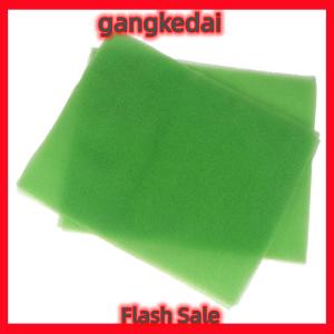 Gangke แผ่นรองผักรักษาความสดใหม่10ชิ้นแผ่นฟองน้ำที่รองลิ้นชักตู้เย็นแผ่นฟองน้ำกรองและแผ่นกันชื้น