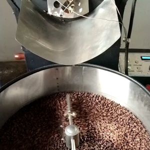 kopi arabika asli sidikalang