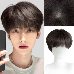 BEAUTYLADIES Korean Style Fashion Men Wig Cosplay Synthetic Layered Toupee Hairpieces Fake Hair Handsome Short Hair with Bangs Costume Party