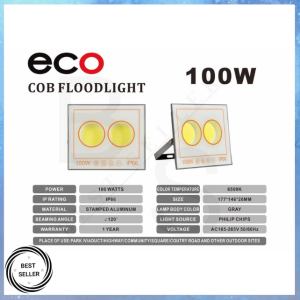 Electric 220V LED Light 100W Outdoor Lamp Waterproof Floodlight Spotlight