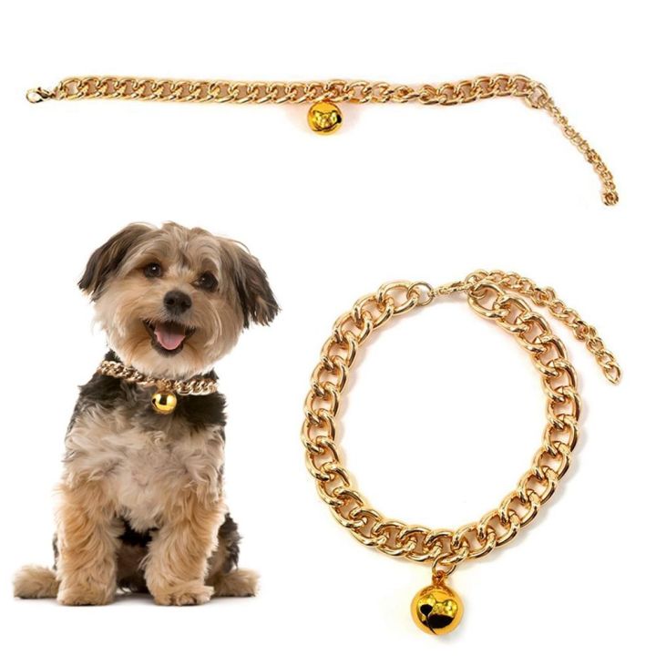 Chain necklace hotsell for dogs