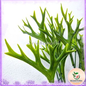 Daun Tanduk Rusa Cabang 5 - Daun Aksesoris Dekorasi Plastik Artificial