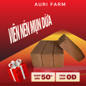 Viên Nén Xơ Dừa - Mùn Dừa - Mụn Dừa Ép Bánh Đã Qua Xử Lý làm Giá thể Trồng Rau Sạch Rau Mầm trồng hoa kiểng