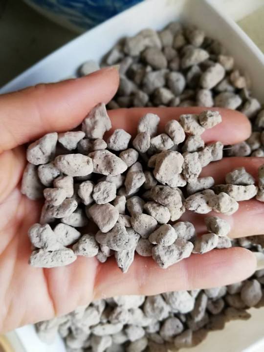 %C4%90%C3%A1%20Pumice%20(%20%C4%90%C3%A1%20b%E1%BB%8Dt%20%C4%91%C3%A1%20n%C3%BAi%20l%E1%BB%ADa)%20g%C3%B3i%201kg%20d%C3%B9ng%20tr%E1%BB%99n%20gi%C3%A1%20th%E1%BB%83%20tr%E1%BB%93ng%20c%C3%A2y%20gi%C3%BAp%20gi%E1%BB%AF%20%E1%BA%A9m%20t%E1%BB%91t,%20tho%C3%A1ng%20r%E1%BB%85,%20nh%E1%BA%B9%20-%20Image%205