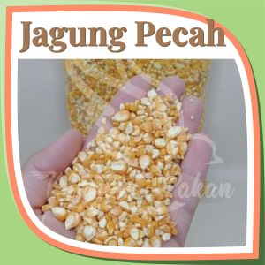 Jagung Pecah Burung Merpati