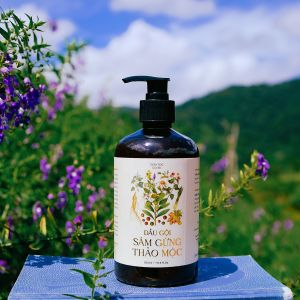 Dầu gội thiên nhiên sâm gừng Cô Bi dầu gội sâm gừng thảo mộc Cô Bi