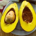 Bibit Alpukat Red Vietnam Import  Hasi Okulasi I pusat tanaman buah buahan pendek bisa berbuah dalam pot. 