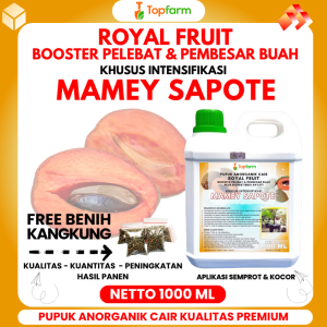Pupuk Topfarm / Pupuk Mamey Sapote / Pupuk Buah Mamey Sapote Jumbo / Pupuk Mamey Sapote Lorito / Pupuk Mamey Sapote Magana Cangkok / Pupuk Buah Mamey Sapote / Pupuk Sawo Jumbo