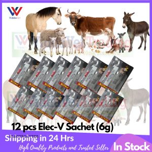 12 packs Elec-V Sachet (6g)
