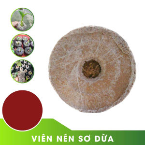 20 VIÊN NÉN XƠ DỪA ĐÃ XỬ LÝ VI SINH: Viên nén ươm hạt cây giống
