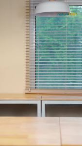 【Official store】Naturelish GLUTAMINE修复奶粉 NatureLISH Essencare Recovery - Complete Balanced Nutrition with Glutamine & 3&6