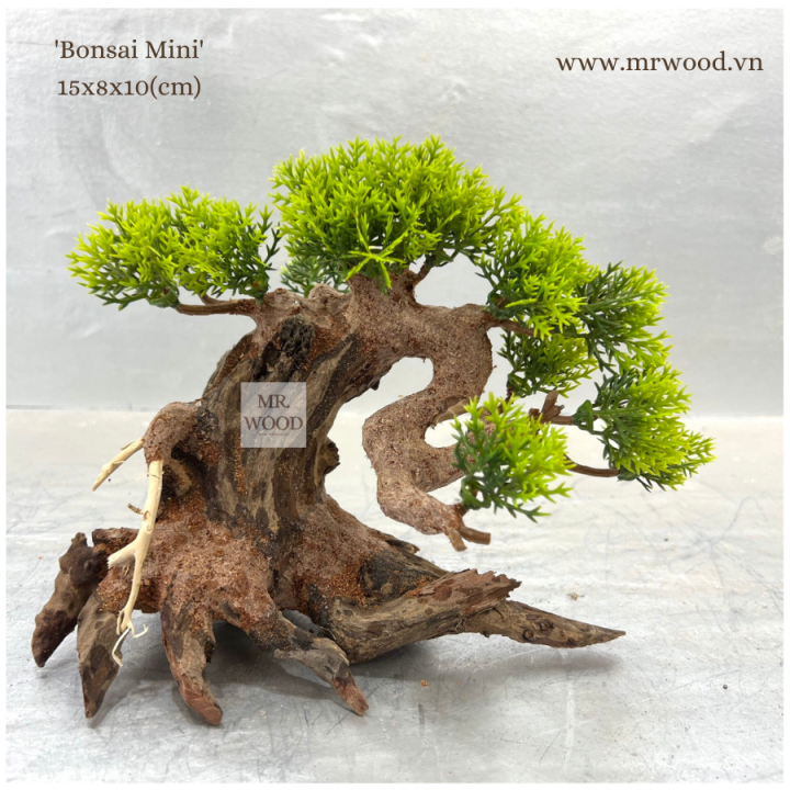 Lũa Bonsai mini cho hồ thủy sinh - Xưởng Lũa Mr Wood