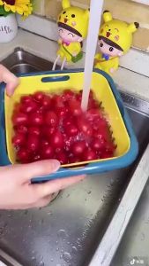 Rổ nhựa kèm chậu có nắp đậy Phukienprocare