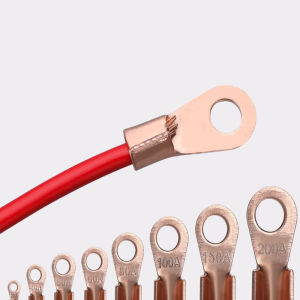 Combo 10 Đầu Cos Nối Dây Điện Chuyên Dụng Cho Xe Điện Xe Đạp Điện Bằng Đồng 20v (Đầucos)