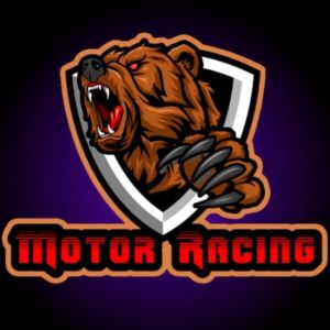 2Pcs Lampu Sein Sen Motor Variasi LED Kedip T10 Jelly 6 Titik