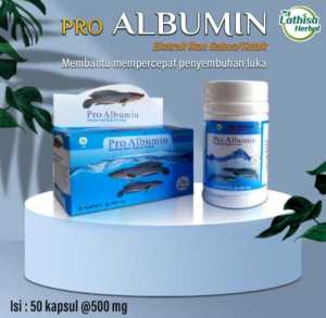 PAKET 2 BOTOL KAPSUL KAN GABUS pro albumin KAPSUL IKAN GABUS EXTRACT IKAN GABUS herbal terapi pasca operasi