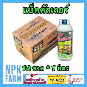 ***ขายยกลัง*** แบ็คคัลเลอร์ ขนาด 1 ลิตร ยกลัง 12 ขวด แบ็คคิลเลอร์ แบคคิลเลอร์ ฆ่าเชื้อ หยุดเชื้อรา แบคทีเรีย ต้านไวรัส พืชต้านทานโรค npkplant