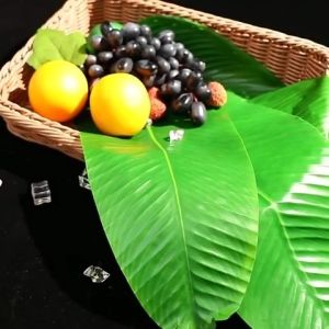 Fake banana leaf Artificial banana leaves
