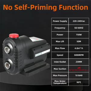Permanent Magnet Variable Frequency Constant Pressure Booster Pump Fully Automatic For Villas Home Use Rural Self-Built
