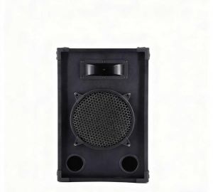 WSK F10-2way professional passive speaker is suitable for home singing birthday parties（1PCS）