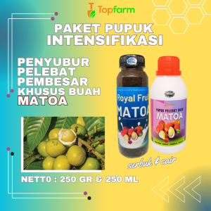 Pupuk Booster Buah Matoa / Pupuk Pelebat Buah Matoa / Pupuk Booster Matoa / Pupuk Organik Buah Matoa / Pupuk Matoa / Pupuk Buah