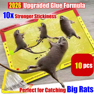 Extra Sticky Rat Glue Board Heavy Duty Mouse Catcher Trap Non-Toxic Strong Adhesive Pest Control for Home Kitchen Warehouse | Papan Gam Tikus Ekstra Lekat Perangkap Tikus Selamat Tanpa Racun Kuat Lekat 粘鼠板