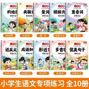 【SG Stock】小学生语文一本通专项练习全套10册 One Pass Primary School Chinese Special Training 10 Books
