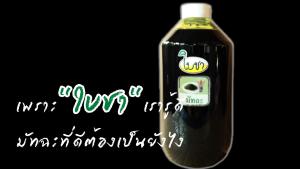 คาราเมล ไซรัป น้ำเชื่อม "ใบชา" รสมัทฉะ ขวดเล็ก 360ml หอมเข้มข้น