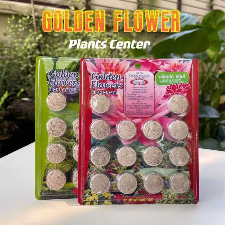 Plants Center พร้อมส่ง💥Golden Flowers แผงละ 14 เม็ด ช่องาม สูตรเร่งต้น