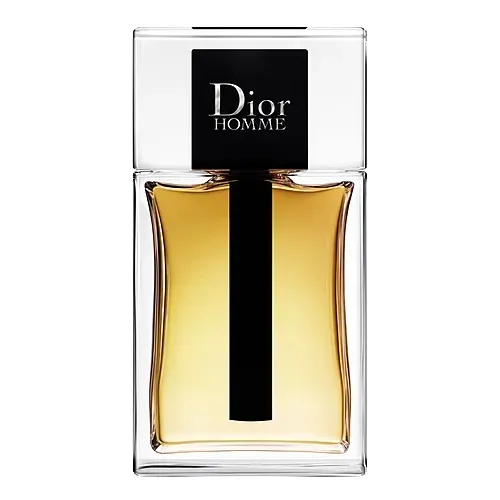 Christian Dior Homme EDT for Men (100ml) [New 100% Authentic