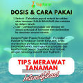Pupuk Khusus Daun Bawang / Pupuk Penyubur Bawang Daun / Pupuk Daun Bawang Merah / Pupuk Pelebat Bawang Daun / Pupuk Buat Tanaman Bawang Daun. 