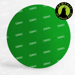 SEMPATI Plafon Sangkar Lovebird Jebakan Atap Plafon Plastik Tebal Warna Warni Helloped Sangkar Kandang Burung Love Bird Tutup Atas Sangkar Lovebird Lb Anti Naik Ke Atas Helopet Bulat Jebakan Lovebird