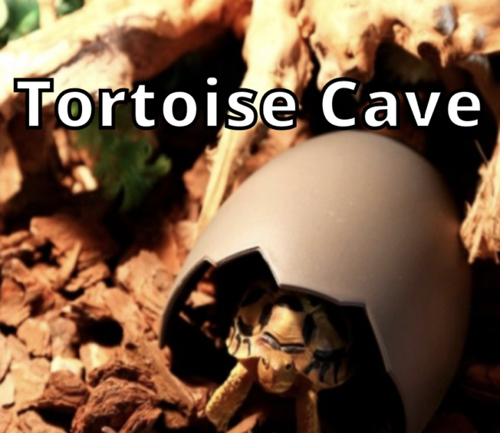 Malaysia Original Stock Tortoise Cave （陆龟蜥蜴恐龙蛋壳躲避）Tortoise Hide ...