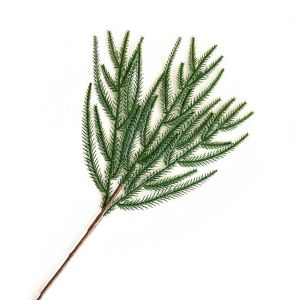 MIRELINA 5PCS Màu xanh lá Cành thông Norfolk nhân tạo Nhựa 3/5 nĩa Cành cây tuyết tùng mô phỏng Sáng tạo Vòng hoa tự làm Cành thông Giáng sinh Giáng sinh