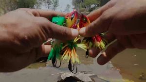 UMPAN MANCING GABUS DAN KOCOLAN JF SEGITIGA - SANGAR LURE