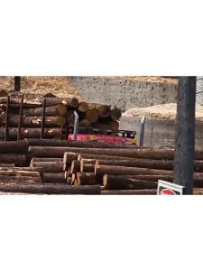 Nordic Solid Wood Bed Frame Oak Modern Simple with usb Night Light 1.68m m Soft Reliable Bedroom High Storage Double Big Bed