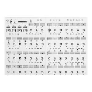 PVC Keyboard Stickers for 88 61 54 Key Pianos Staff Symbols Note Identification Removable Adhesive for All Learners