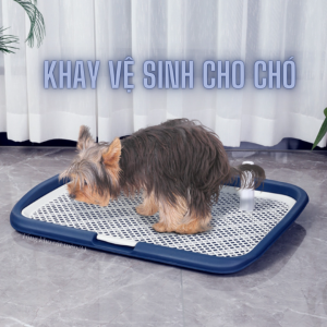 Khay vệ sinh cho chó 42x52cm