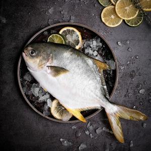 Serve by Hai Sia Fresh Golden Pomfret Whole Cleaned