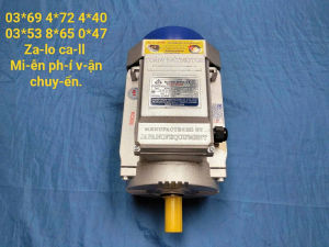 Động cơ điện 220v 35kw tua nhanh 2900v/p