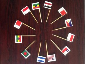50 PC-CAKE TOPPER -BENDERA NEGARA-NEGARA- TUSUK GIGI BENDERA 10 NEGARA RANDOM