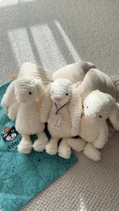 [Authentic]JELLYCAT Uk JE Zhen Shy Nibos Bonnie Rabbit Toy Comfort Bunny Gift Limited Edition