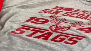✅ FANATICO NCAA San Sebastian College School Shirt San Sebastian Stags College Basketball Shirt .C