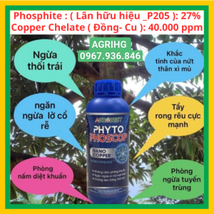 Phân bón vi lượng PHYTO PHOSCOP Chai 1 lít  AGRIHG