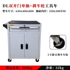 Trolley ToolBox ToolBox Trolley Tool Cart ToolBox With Wheel Multifunctional Removable Thickening Repair Trolley