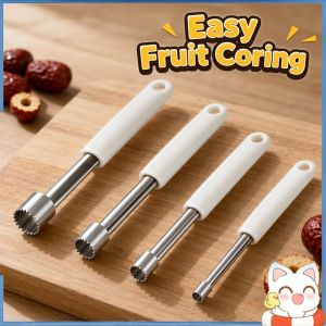 Fruit Corer Set Stainless Steel Red Date Seed Core Remover Jujube Pitter Manual Tool 4pcs